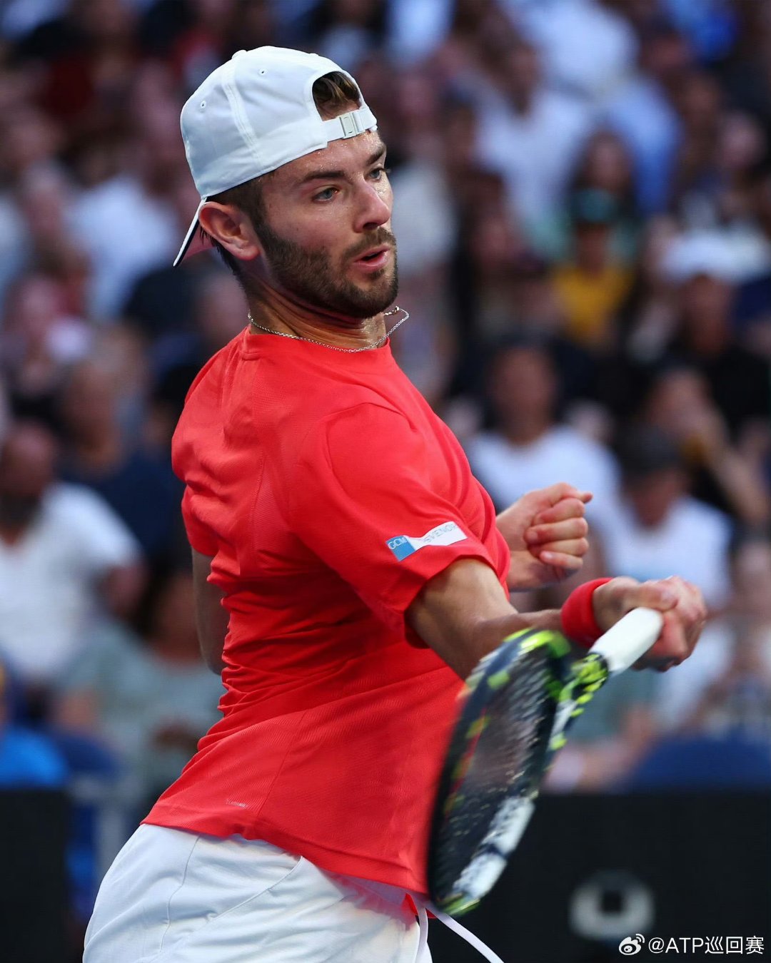 包含英国网球队横扫澳大利亚网球队，克耶高斯爆发神勇的词条