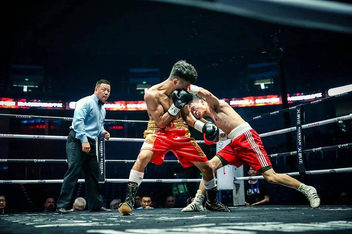 球星爆发！拳击赛场再现神级操作的简单介绍