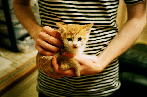 技术匠心与孤勇领袖,迈凯伦的完胜之道与维斯塔潘的负重艺术