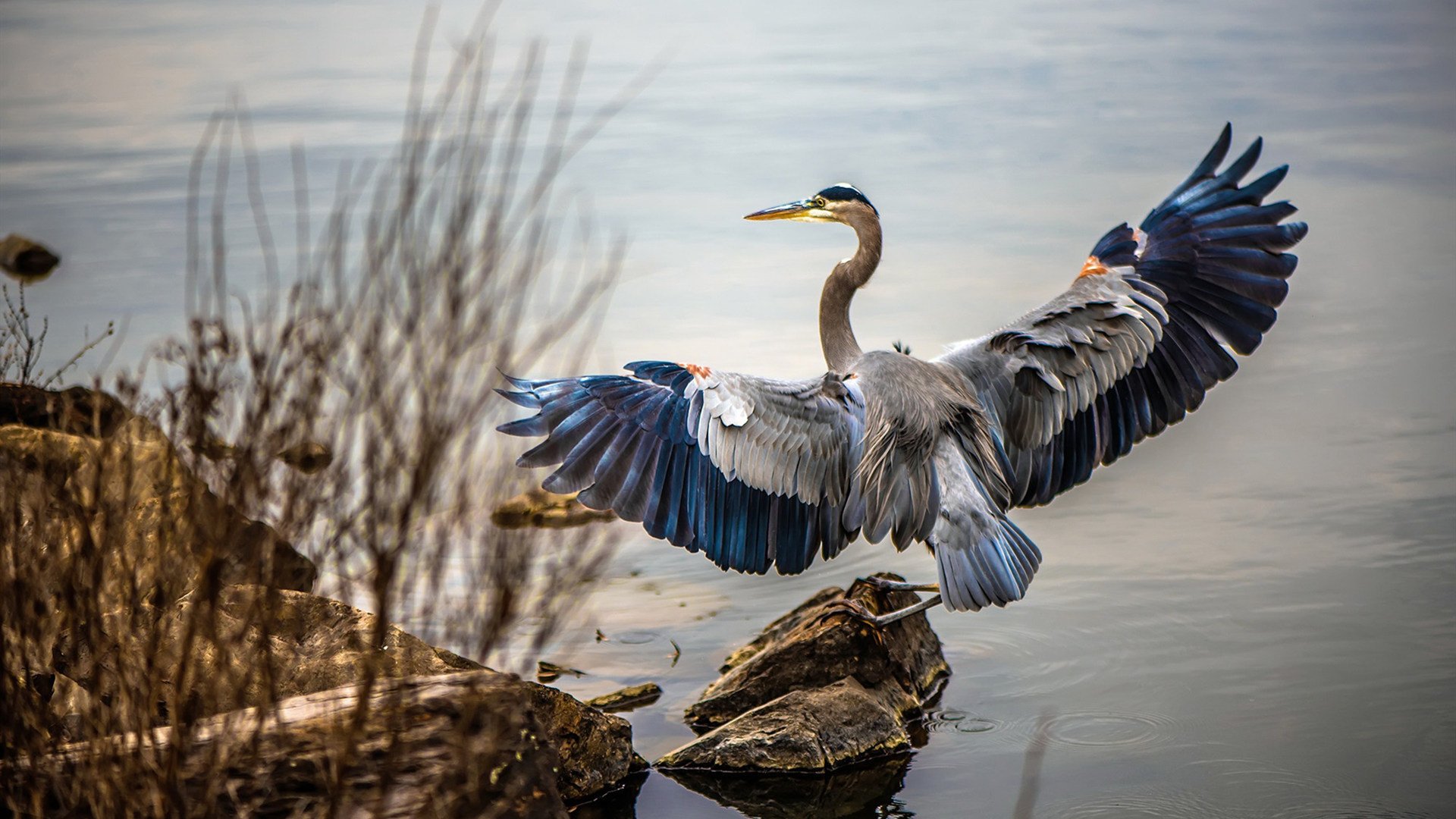 法比尼奥领军，美国友谊赛轻取那不勒斯，一场跨洋胜利的启示