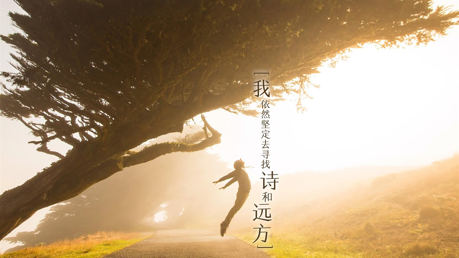 老兵不死!武切维奇生死战30+20主宰禁区,马刺抢七力克开拓者闯入总决赛