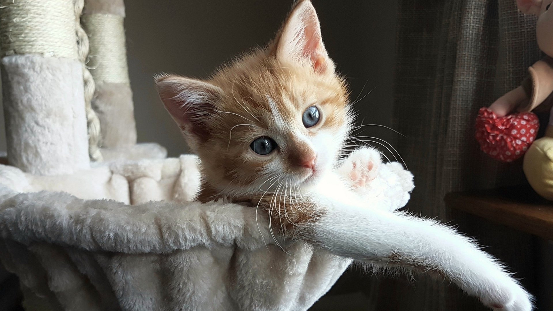 七十三分钟的压抑,十七分钟的狂喜,马丁内利如何用一刻钟重写比赛剧本