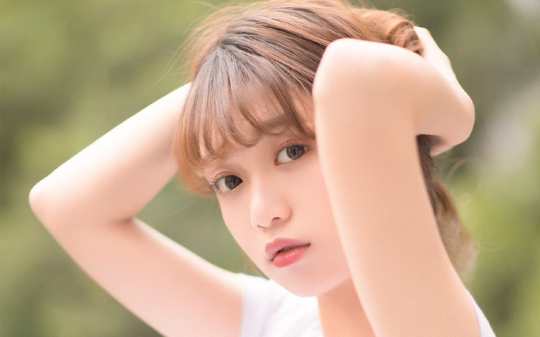 影子对决,锡安式暴力美学如何重塑猛龙与太阳的攻防棋盘