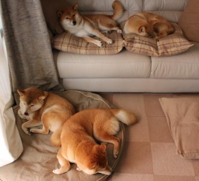 托尼铁骑折戟，一记角球如何让英格兰在基多高原窒息