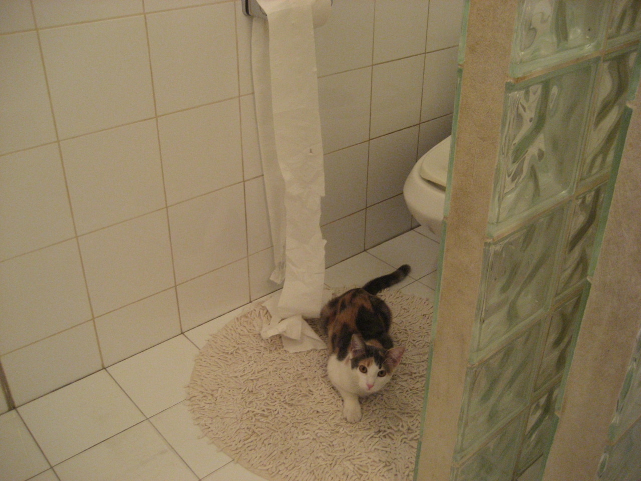 两场战术风暴，巴尔韦德的穿透力与摩纳哥的压制艺术