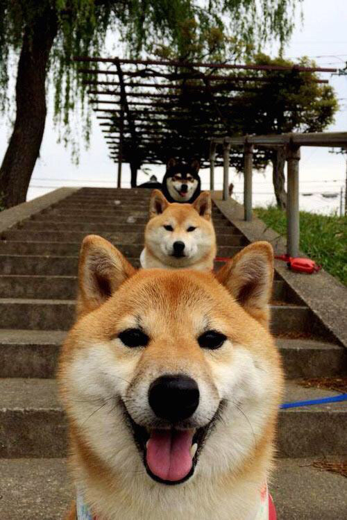 南美闪电战，阿尔瓦雷斯两射一传，切尔西友谊赛险胜委内瑞拉