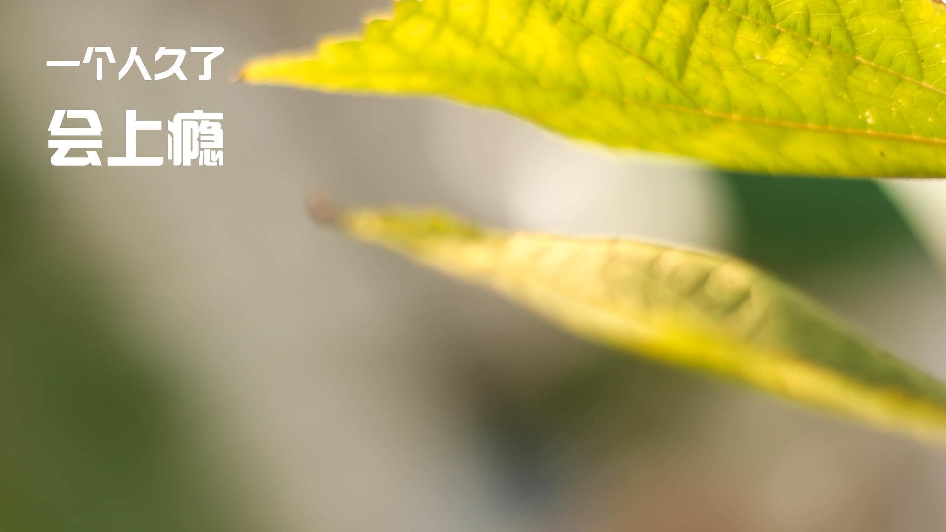 逆流而上的绝句,布克如何用非关键球重写篮球史