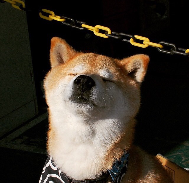 双城记,京多安末节接管与曼联粉碎黄潜—命运交叉的绿茵剧本