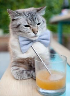 暗夜新章，德意志战车上的太极虎—金玟哉窒息防守改写德甲王座之争